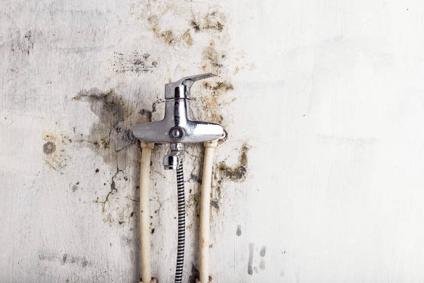 Reliable Orleans, VT Mold Removal Solutions
