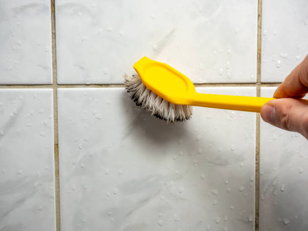 Best Fast Mold Removal  in Orleans, VT