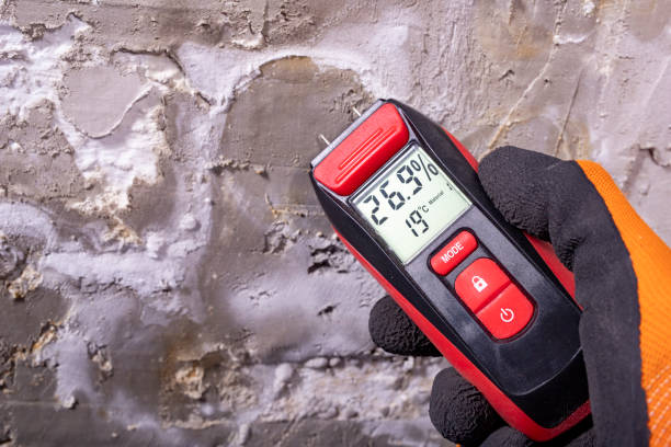 Best Certified Mold Removal  in Orleans, VT