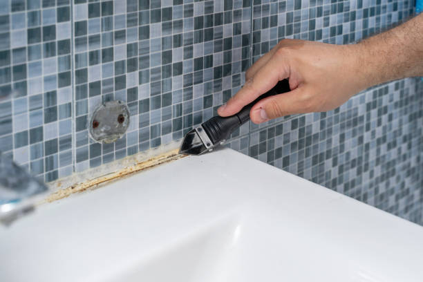 Best Commercial Mold Removal  in Orleans, VT
